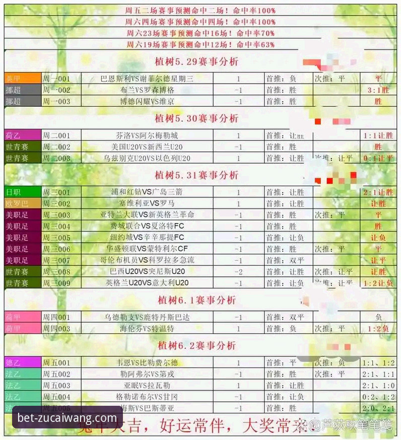 足彩网竞彩官网便捷服务选择指南：从下载到实战的完整解析